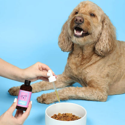 Woofers Liquid Collagen for Dogs