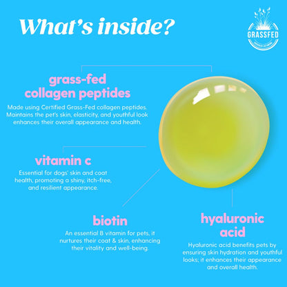 Woofers Liquid Collagen for Dogs