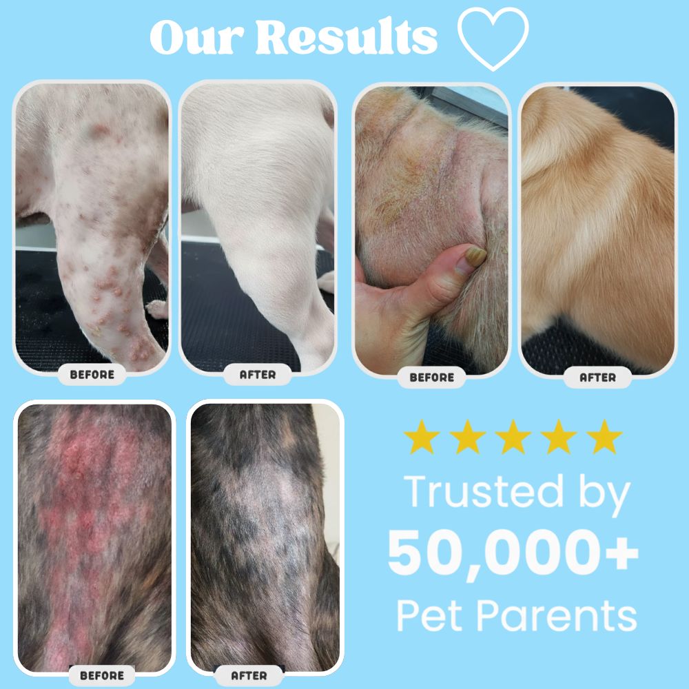 Woofers Liquid Collagen for Dogs