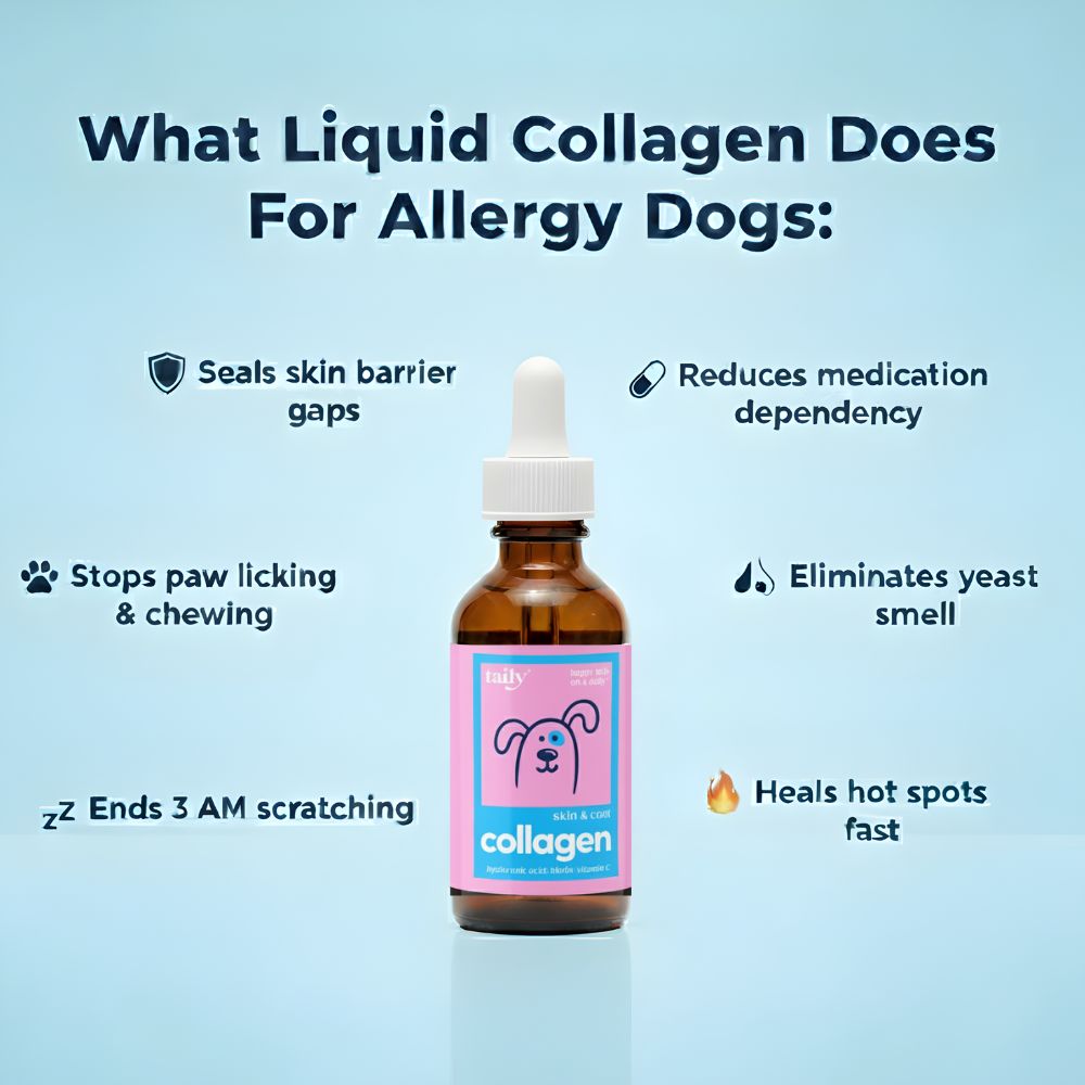 Woofers Liquid Collagen for Dogs