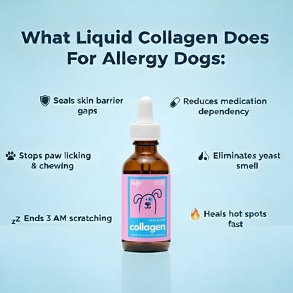 Woofers Liquid Collagen for Dogs